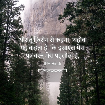 Picture 05 - निर्गमन 4:22 HINIRV - और तू फ़िरौन से - Bible Verse Picture