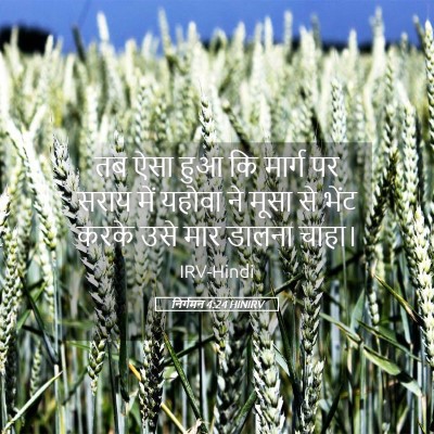 Picture 05 - निर्गमन 4:24 HINIRV - तब ऐसा हुआ कि मार्ग - Bible Verse Picture