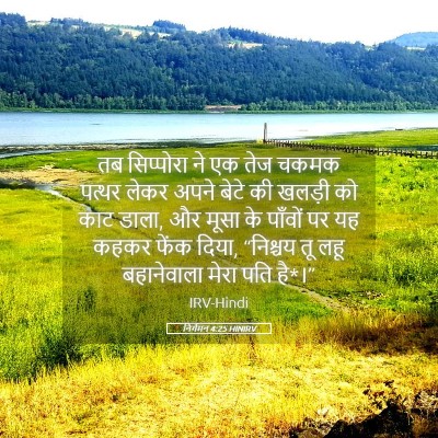 Picture 05 - निर्गमन 4:25 HINIRV - तब सिप्पोरा ने एक - Bible Verse Picture