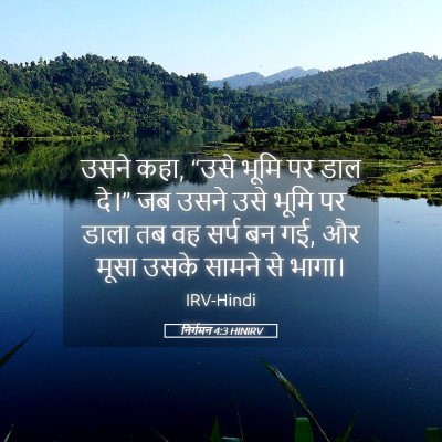 Picture 05 - निर्गमन 4:3 HINIRV - उसने कहा, “उसे भूमि - Bible Verse Picture