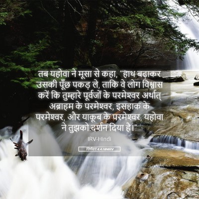 Picture 05 - निर्गमन 4:4 HINIRV - तब यहोवा ने मूसा से - Bible Verse Picture