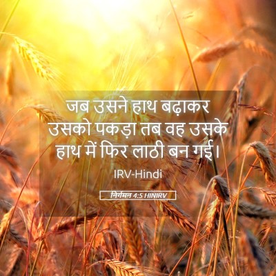Picture 05 - निर्गमन 4:5 HINIRV - जब उसने हाथ बढ़ाकर - Bible Verse Picture