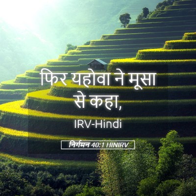 Picture 05 - निर्गमन 40:1 HINIRV - फिर यहोवा ने मूसा - Bible Verse Picture