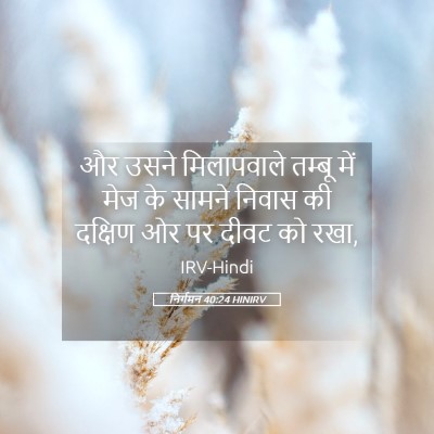 Picture 05 - निर्गमन 40:24 HINIRV - और उसने मिलापवाले - Bible Verse Picture