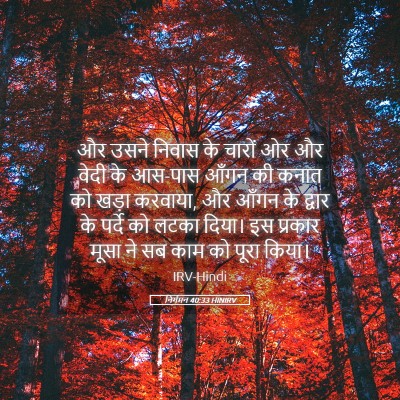 Picture 05 - निर्गमन 40:33 HINIRV - और उसने निवास के - Bible Verse Picture