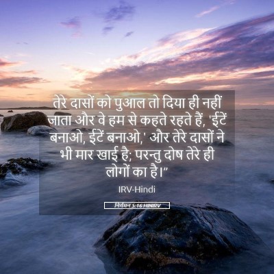 Picture 05 - निर्गमन 5:16 HINIRV - तेरे दासों को पुआल - Bible Verse Picture
