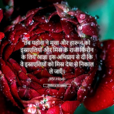 Picture 05 - निर्गमन 6:13 HINIRV - तब यहोवा ने मूसा और - Bible Verse Picture