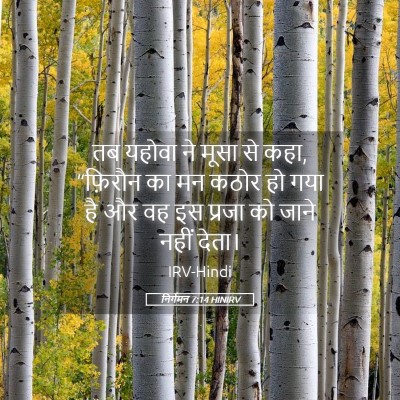 Picture 05 - निर्गमन 7:14 HINIRV - तब यहोवा ने मूसा से - Bible Verse Picture