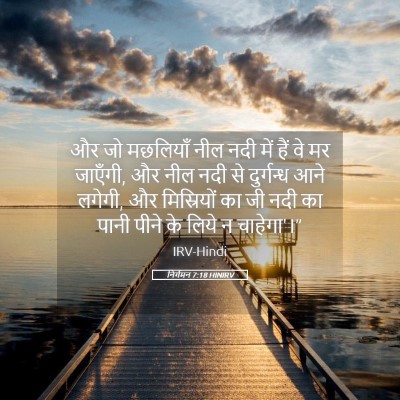 Picture 05 - निर्गमन 7:18 HINIRV - और जो मछलियाँ नील - Bible Verse Picture