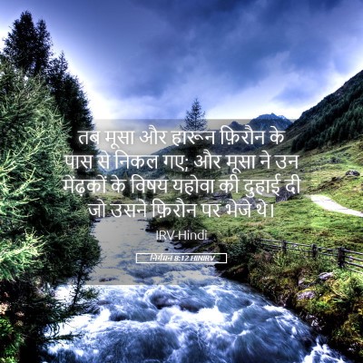 Picture 05 - निर्गमन 8:12 HINIRV - तब मूसा और हारून - Bible Verse Picture