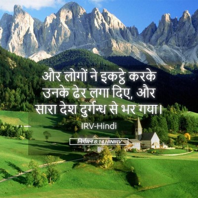 Picture 05 - निर्गमन 8:14 HINIRV - और लोगों ने इकट्ठे - Bible Verse Picture