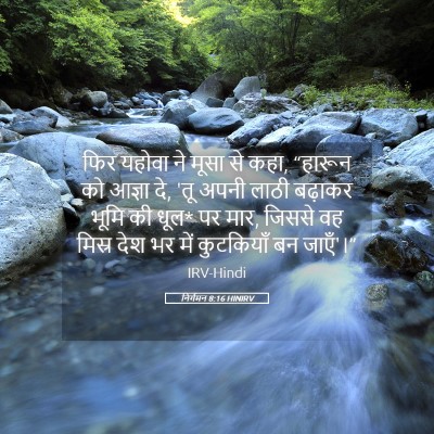 Picture 05 - निर्गमन 8:16 HINIRV - फिर यहोवा ने मूसा - Bible Verse Picture