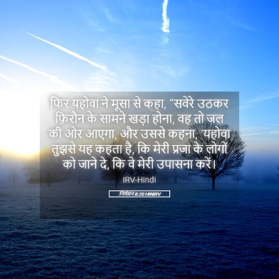 Picture 05 - निर्गमन 8:20 HINIRV - फिर यहोवा ने मूसा - Bible Verse Picture