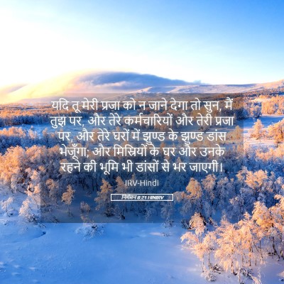 Picture 05 - निर्गमन 8:21 HINIRV - यदि तू मेरी प्रजा - Bible Verse Picture