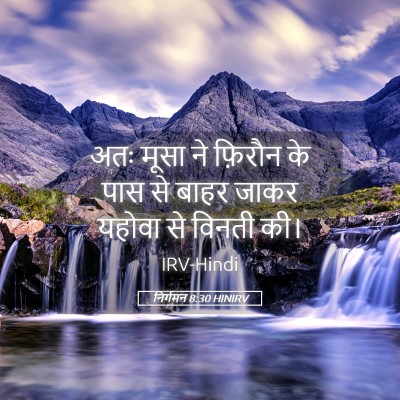 Picture 05 - निर्गमन 8:30 HINIRV - अतः मूसा ने फ़िरौन - Bible Verse Picture