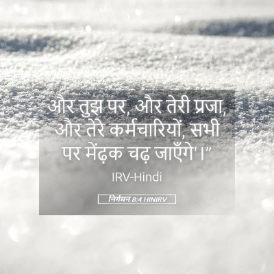 Picture 05 - निर्गमन 8:4 HINIRV - और तुझ पर, और तेरी - Bible Verse Picture