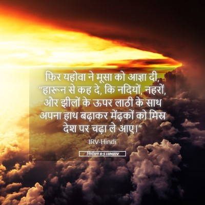 Picture 05 - निर्गमन 8:5 HINIRV - फिर यहोवा ने मूसा - Bible Verse Picture