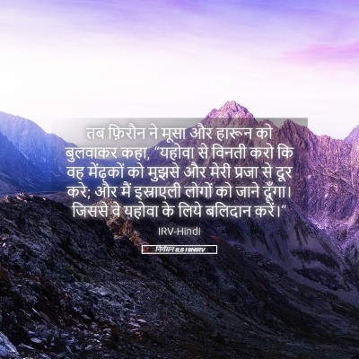 Picture 05 - निर्गमन 8:8 HINIRV - तब फ़िरौन ने मूसा - Bible Verse Picture