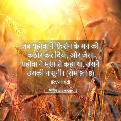 Picture 05 - निर्गमन 9:12 HINIRV - तब यहोवा ने फ़िरौन - Bible Verse Picture