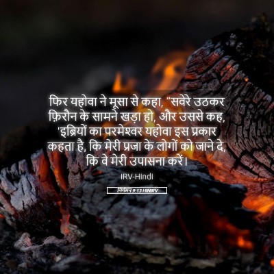 Picture 05 - निर्गमन 9:13 HINIRV - फिर यहोवा ने मूसा - Bible Verse Picture