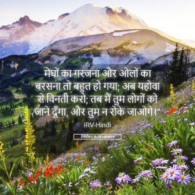 Picture 05 - निर्गमन 9:28 HINIRV - मेघों का गरजना और - Bible Verse Picture