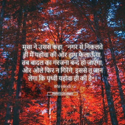 Picture 05 - निर्गमन 9:29 HINIRV - मूसा ने उससे कहा, - Bible Verse Picture