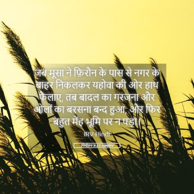 Picture 05 - निर्गमन 9:33 HINIRV - जब मूसा ने फ़िरौन - Bible Verse Picture