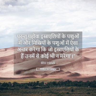 Picture 05 - निर्गमन 9:4 HINIRV - परन्तु यहोवा - Bible Verse Picture