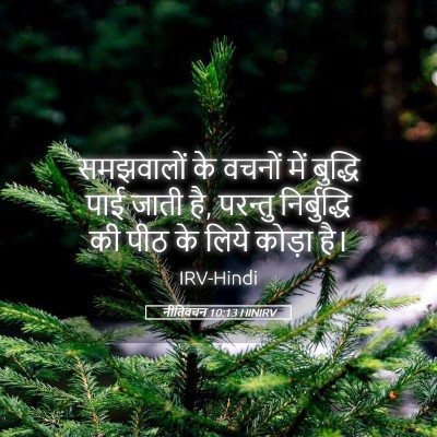 Picture 05 - नीतिवचन 10:13 HINIRV - समझवालों के वचनों - Bible Verse Picture