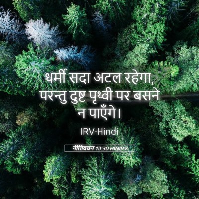 Picture 05 - नीतिवचन 10:30 HINIRV - धर्मी सदा अटल - Bible Verse Picture