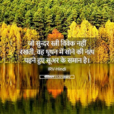 Picture 05 - नीतिवचन 11:22 HINIRV - जो सुन्दर स्त्री - Bible Verse Picture
