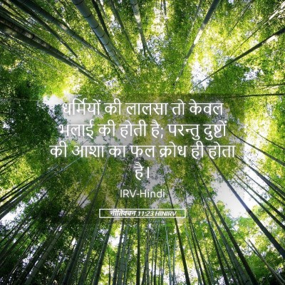Picture 05 - नीतिवचन 11:23 HINIRV - धर्मियों की लालसा - Bible Verse Picture