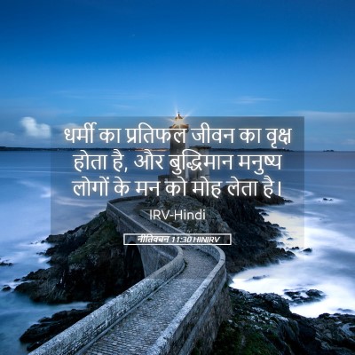 Picture 05 - नीतिवचन 11:30 HINIRV - धर्मी का प्रतिफल - Bible Verse Picture
