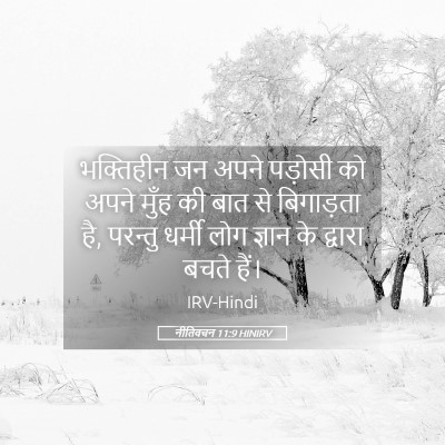 Picture 05 - नीतिवचन 11:9 HINIRV - भक्तिहीन जन अपने - Bible Verse Picture