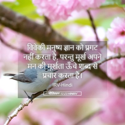 Picture 05 - नीतिवचन 12:23 HINIRV - विवेकी मनुष्य - Bible Verse Picture