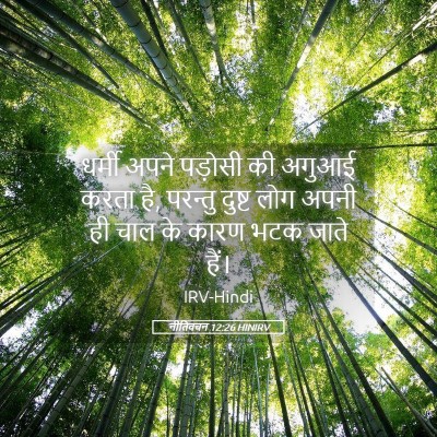 Picture 05 - नीतिवचन 12:26 HINIRV - धर्मी अपने पड़ोसी - Bible Verse Picture