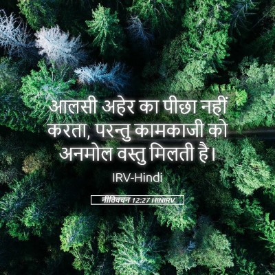 Picture 05 - नीतिवचन 12:27 HINIRV - आलसी अहेर का पीछा - Bible Verse Picture