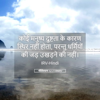 Picture 05 - नीतिवचन 12:3 HINIRV - कोई मनुष्य - Bible Verse Picture
