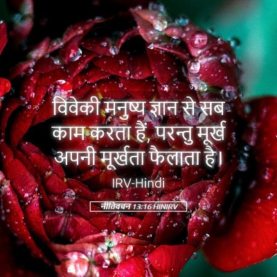 Picture 05 - नीतिवचन 13:16 HINIRV - विवेकी मनुष्य - Bible Verse Picture