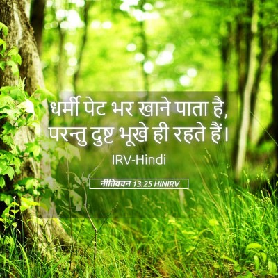 Picture 05 - नीतिवचन 13:25 HINIRV - धर्मी पेट भर खाने - Bible Verse Picture