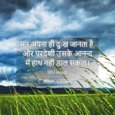 Picture 05 - नीतिवचन 14:10 HINIRV - मन अपना ही दुःख - Bible Verse Picture