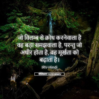 Picture 05 - नीतिवचन 14:29 HINIRV - जो विलम्ब से क्रोध - Bible Verse Picture