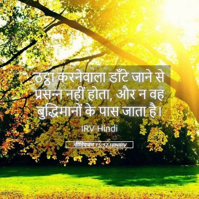 Picture 05 - नीतिवचन 15:12 HINIRV - ठट्ठा करनेवाला - Bible Verse Picture