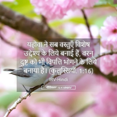 Picture 05 - नीतिवचन 16:4 HINIRV - यहोवा ने सब - Bible Verse Picture