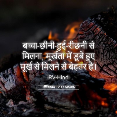 Picture 05 - नीतिवचन 17:12 HINIRV -  - Bible Verse Picture