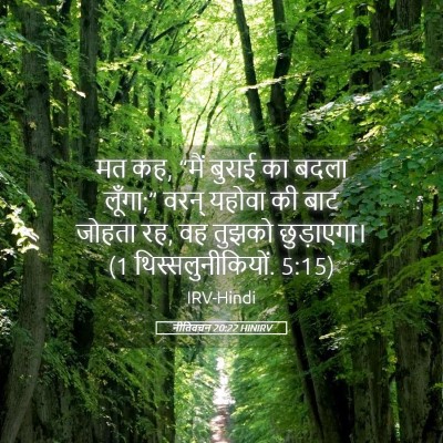 Picture 05 - नीतिवचन 20:22 HINIRV - मत कह, “मैं बुराई - Bible Verse Picture