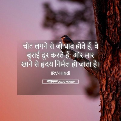 Picture 05 - नीतिवचन 20:30 HINIRV - चोट लगने से जो घाव - Bible Verse Picture