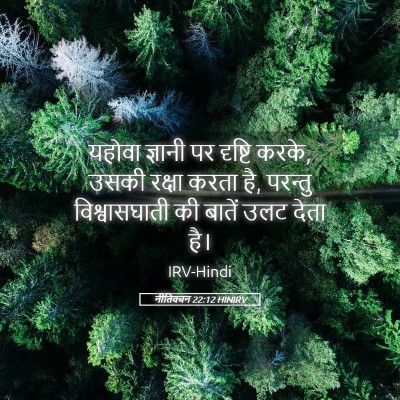 Picture 05 - नीतिवचन 22:12 HINIRV - यहोवा ज्ञानी पर - Bible Verse Picture