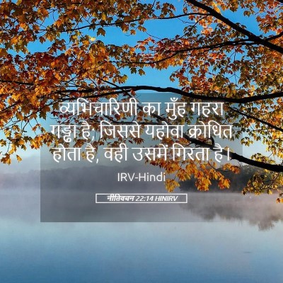 Picture 05 - नीतिवचन 22:14 HINIRV - व्यभिचारिणी का - Bible Verse Picture
