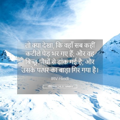 Picture 05 - नीतिवचन 24:31 HINIRV - तो क्या देखा, कि - Bible Verse Picture